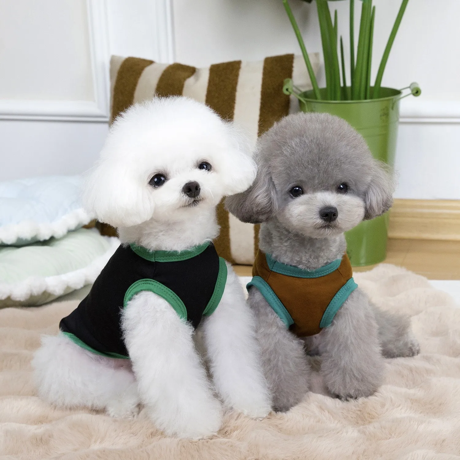 Camiseta sin mangas bonita para mascotas, abrigo de pierna de peluche, protector solar fino para mascotas, ropa para perros pequeños, ropa para cachorros