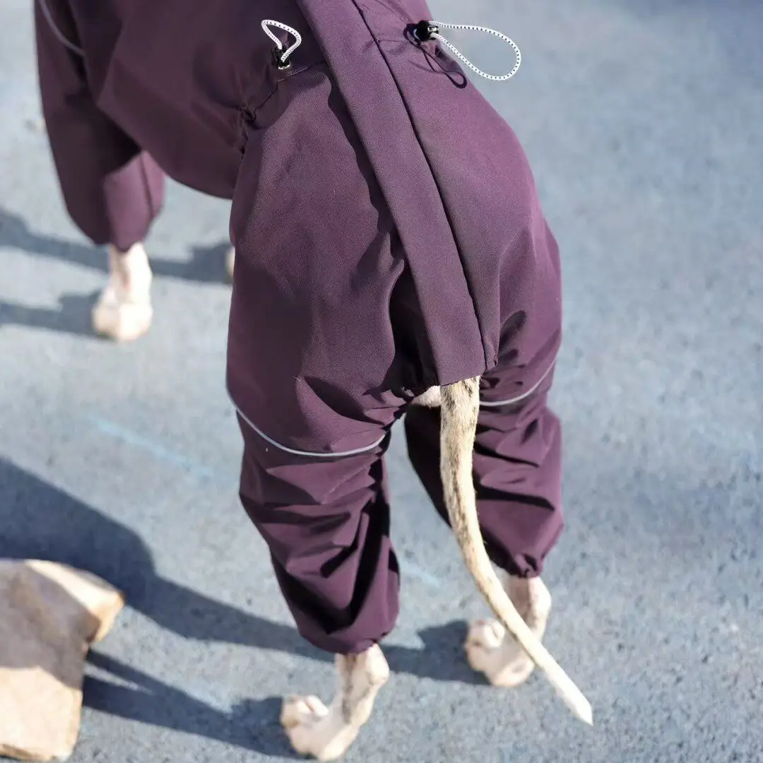 Chaqueta cortavientos para galgo italiano y whippet - imagen 5