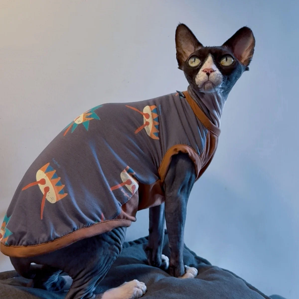 Chaleco de algodón para gatos Sphynx y Devon Rex – Ropa de verano