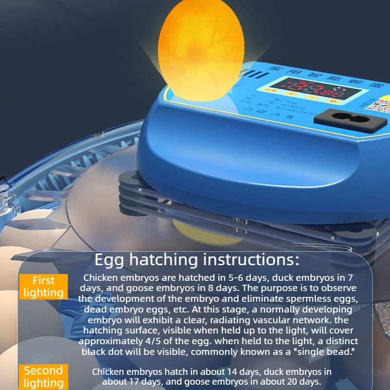 Incubadora automática de huevos con control térmico y LED - imagen 5