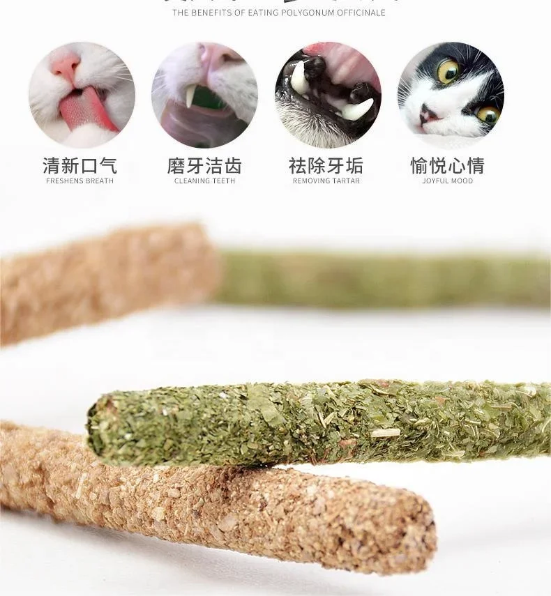 Juguete dental de matatabi para gatos – Palo estimulante natural - imagen 4