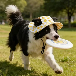 Gorro para perros pequeños y medianos - Pug, Corgi, Dachshund