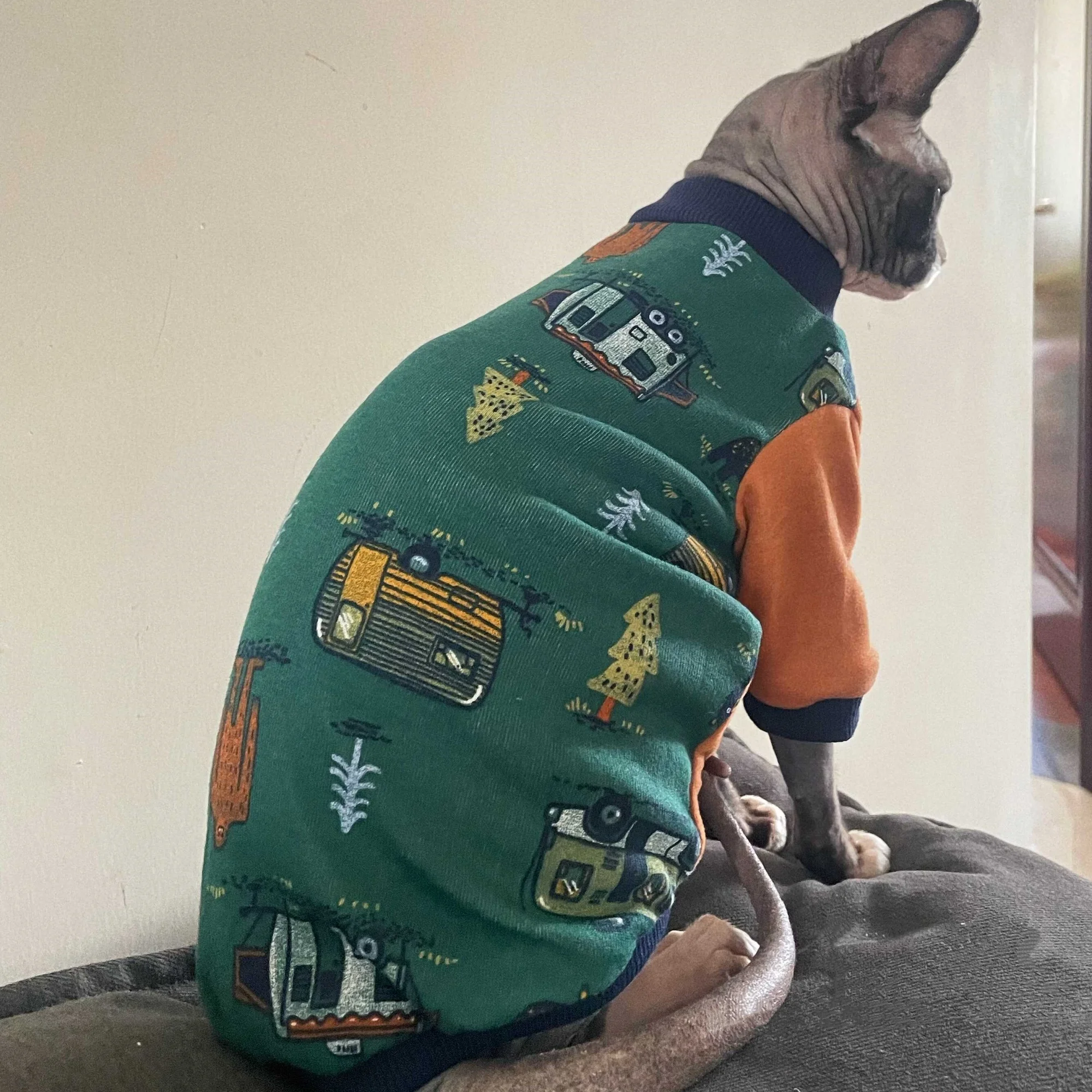 Abrigo suave cálido de invierno para gato Sphynx y Devon Rex - imagen 5
