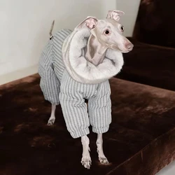 Chaqueta de lujo para Whippet con cuello de piel de visón