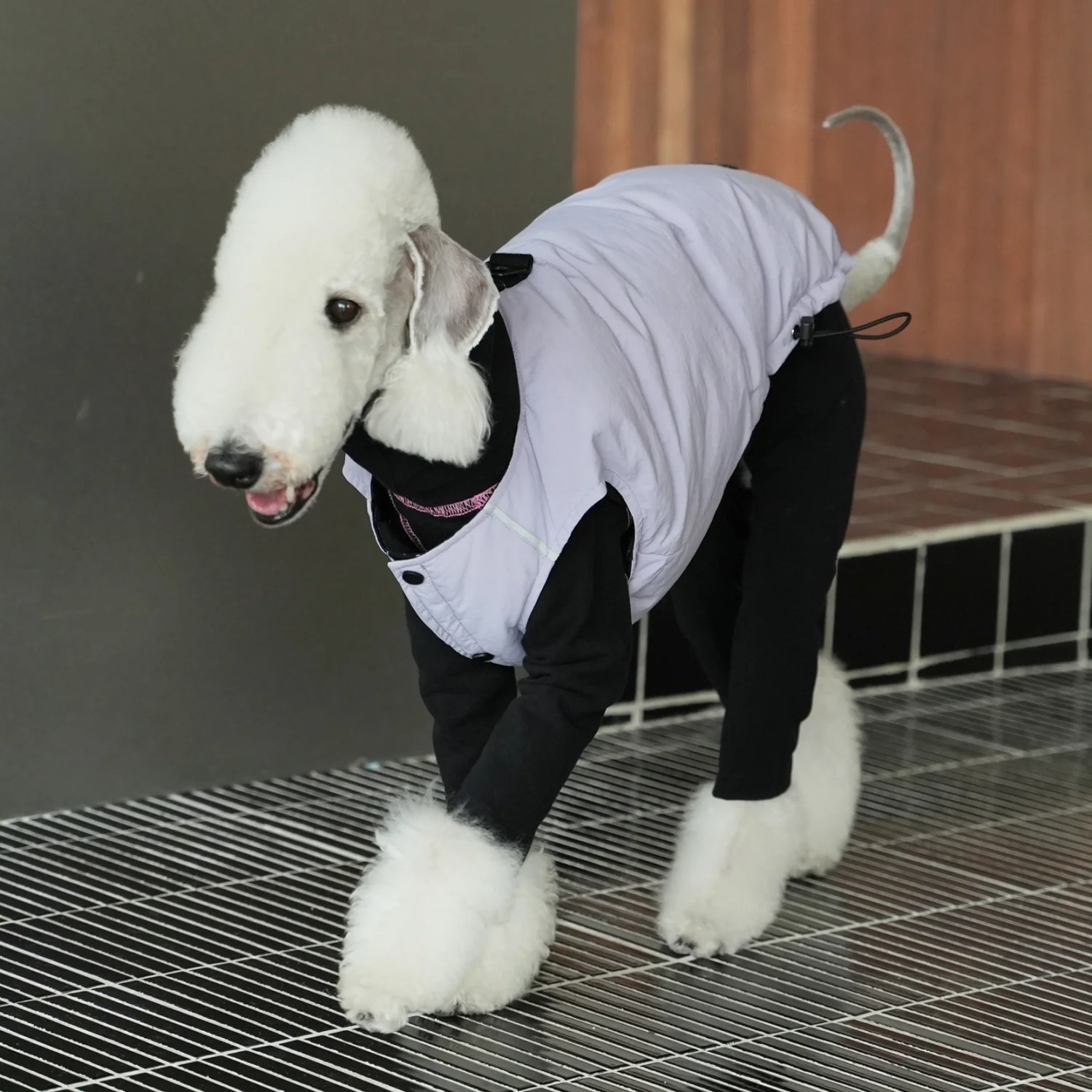 Abrigo de plumón de pato blanco en dos lados para usar en Bedlington en invierno Chaqueta impermeable amarilla gruesa con botones en la espalda para Whippet en clima frío - imagen 3