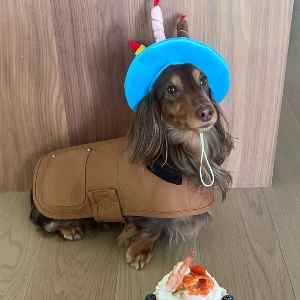 Chaleco desmontable rápido grueso marrón para perros Dachshund P-M-G - imagen 3