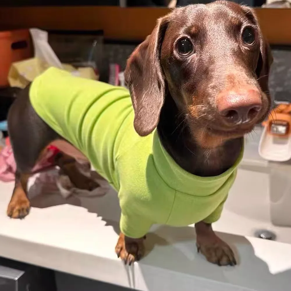 Abrigo interior suave para perro salchicha Wiener, ropa de otoño, mono de lana cálido para perro tejón, camisa de manga larga en invierno - imagen 3