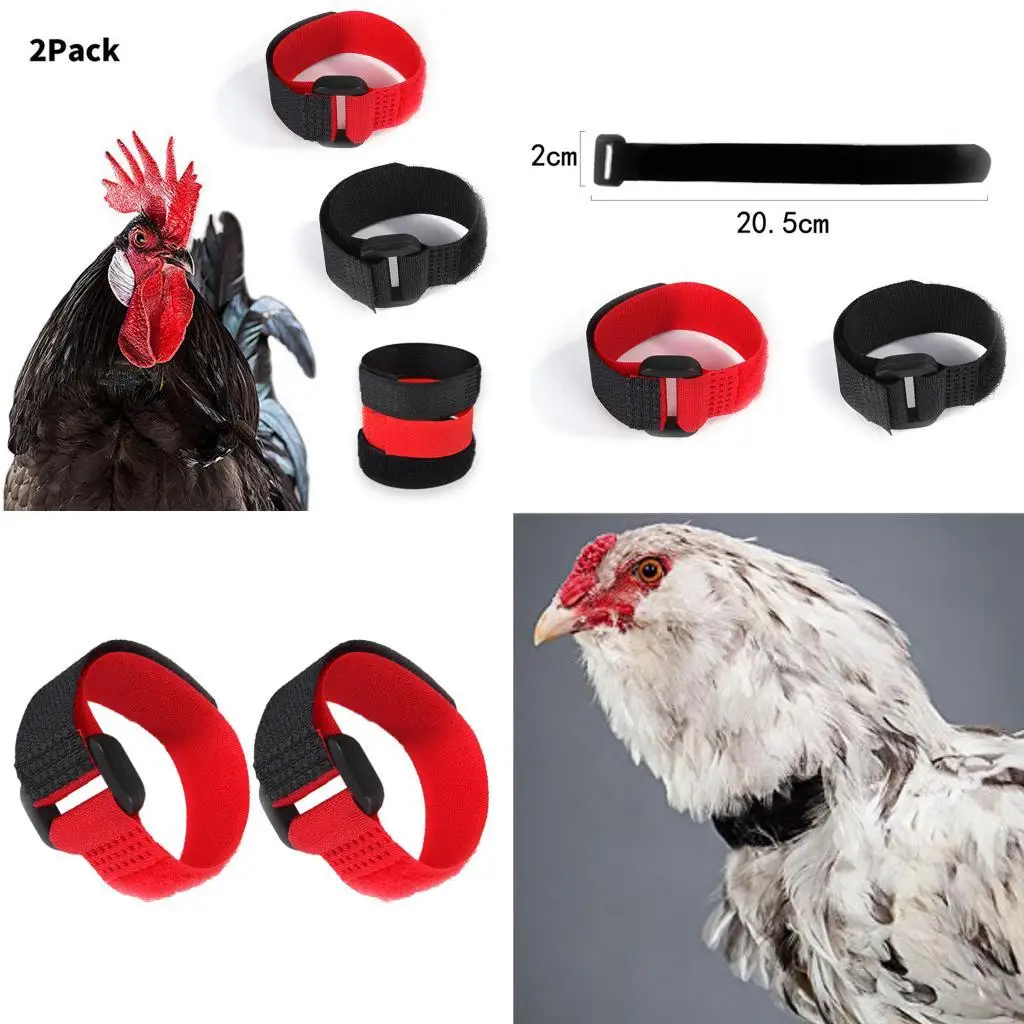 2pcs No Crow Collar for Roosters No Crowing Belt Neckband Poultry Supplies Anti Crow Rooster Collar No Noise