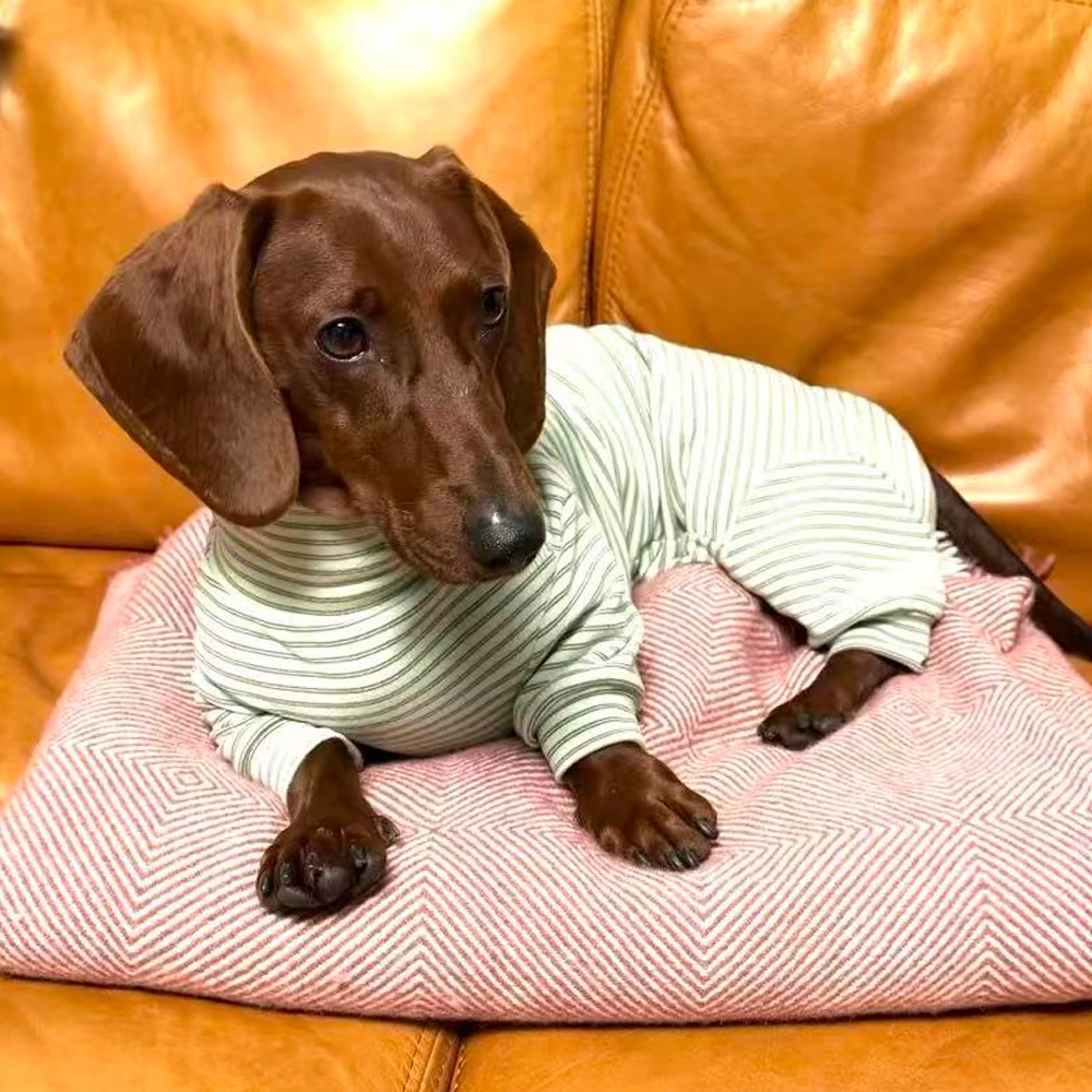Pijama suave, cálido para perros tipo salchicha miniatura y medianos - imagen 4