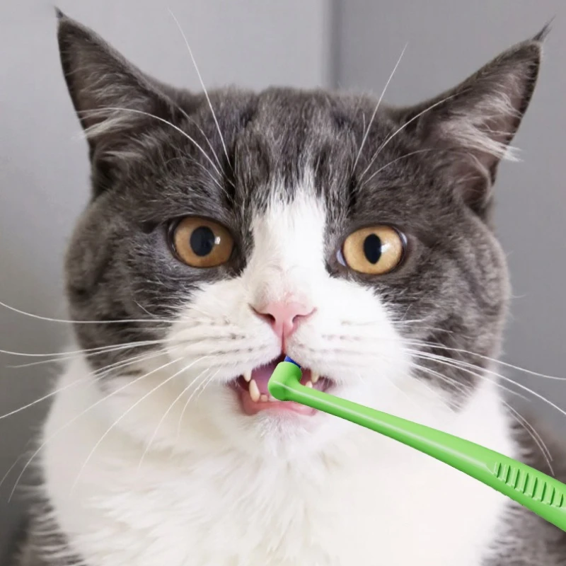 Nuevo estilo, cepillo de dientes para mascotas, Kit de cuidado Dental multiángulo, herramientas de limpieza de dientes de perro, cuidado de mascotas, cepillo de dientes para gatos, productos para mascotas - imagen 3