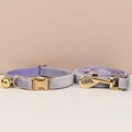 Cat collar Leash