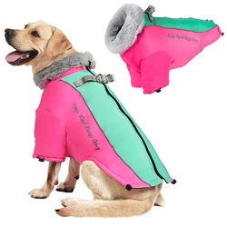 Chaqueta acolchada de plumón para perro – Abrigo de invierno