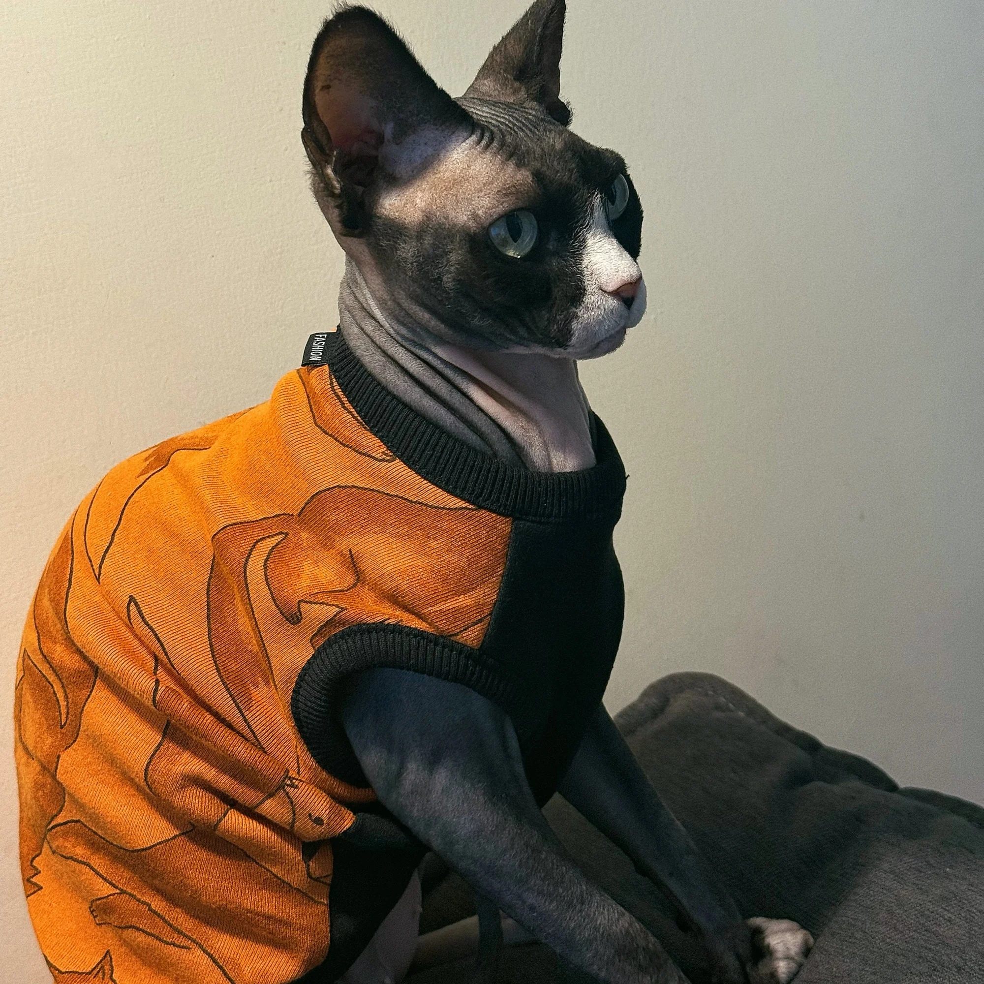 Pijama suave para gatos Sphynx y perros pequeños – Ropa de algodón para otoño e invierno - imagen 5