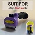 Cat S - Short hair