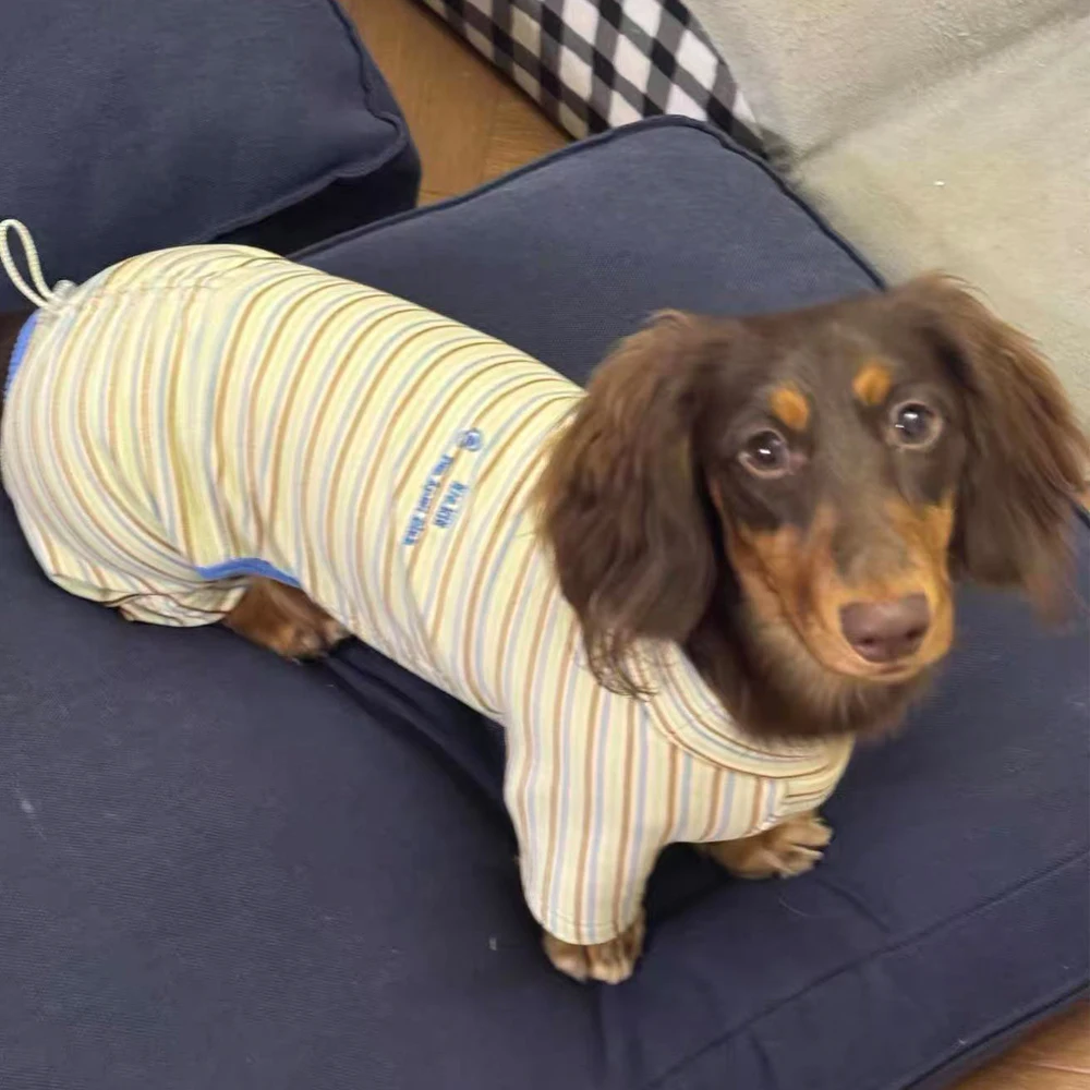 Camiseta de primavera ligera cómoda para perro salchicha