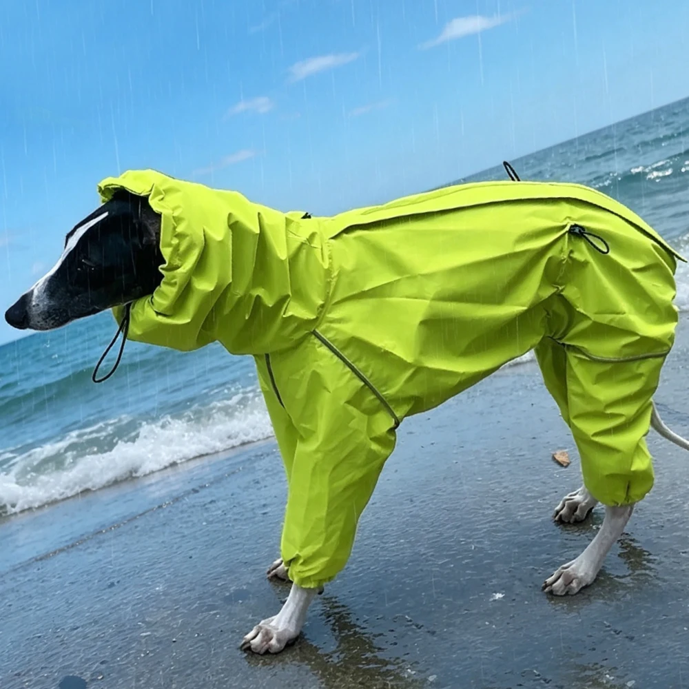 Chubasquero impermeable transpirable para galgo italiano y whippet - imagen 5