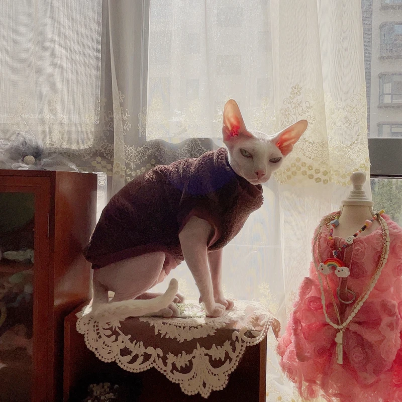 Sphynix Cat Sweater Ropa de gato sin pelo Esprosamiento Abrigo de fibra de lana de cordero cálido suave de doble lado para ropa de invierno Devon Rex - imagen 3