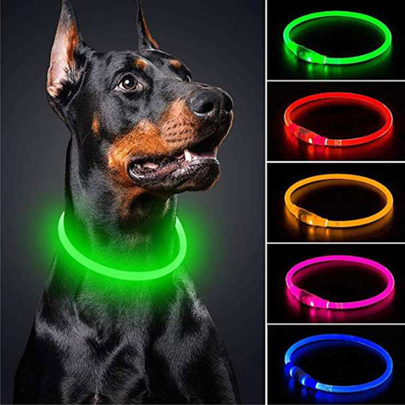 Collar LED Perro - Vista principal