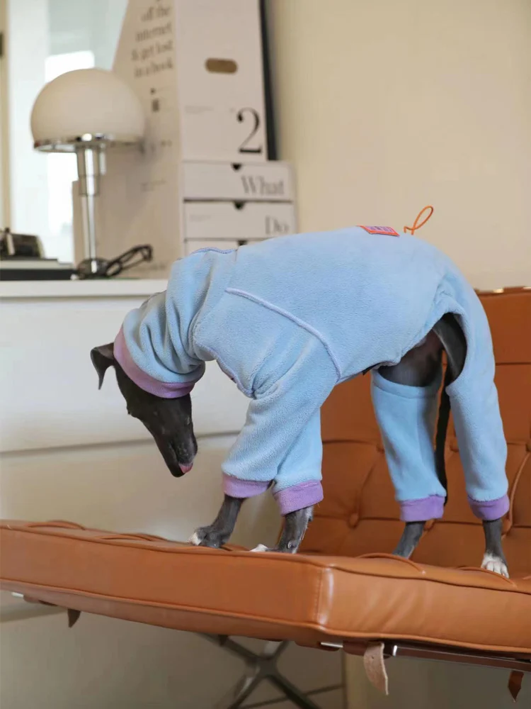 Ropa de galgo italiano a la moda, mono Whippet, ropa para perros, sudadera cálida de cuello alto de lana Whippet - imagen 4