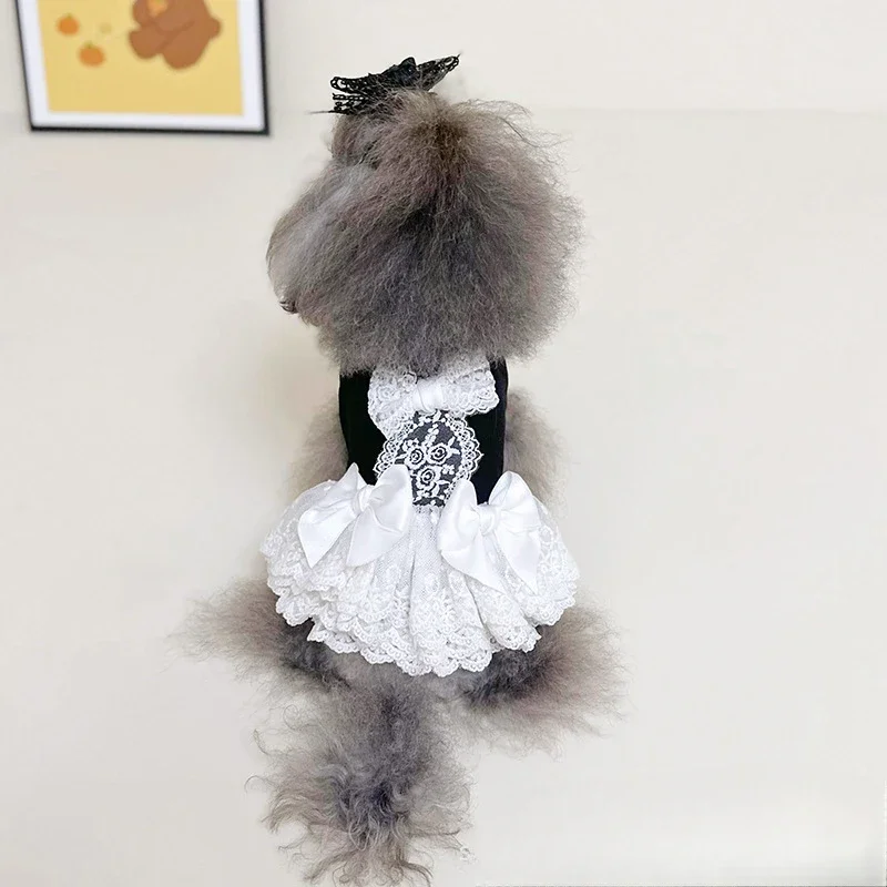 Falda mullida de encaje para mascotas, ropa con lazo para primavera y otoño, falda de encaje sin mangas con Base de princesa, ropa para perros pequeños y cachorros - imagen 4