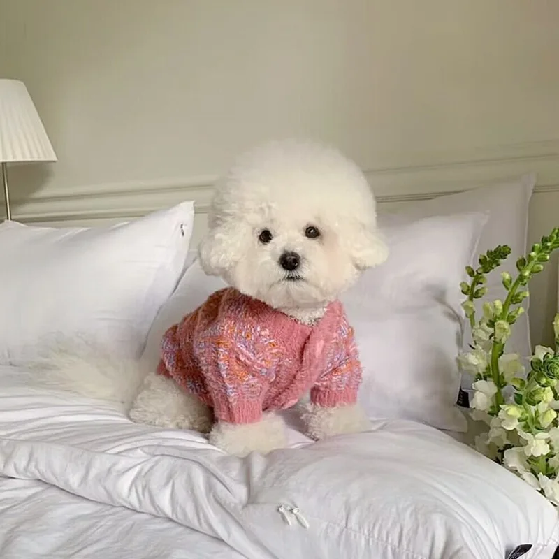 Caliente invierno mascota maltés alta definición tejido invierno Teddy suéter ropa para perros Bichon Frise suave dos patas suéter con botones abiertos - imagen 5