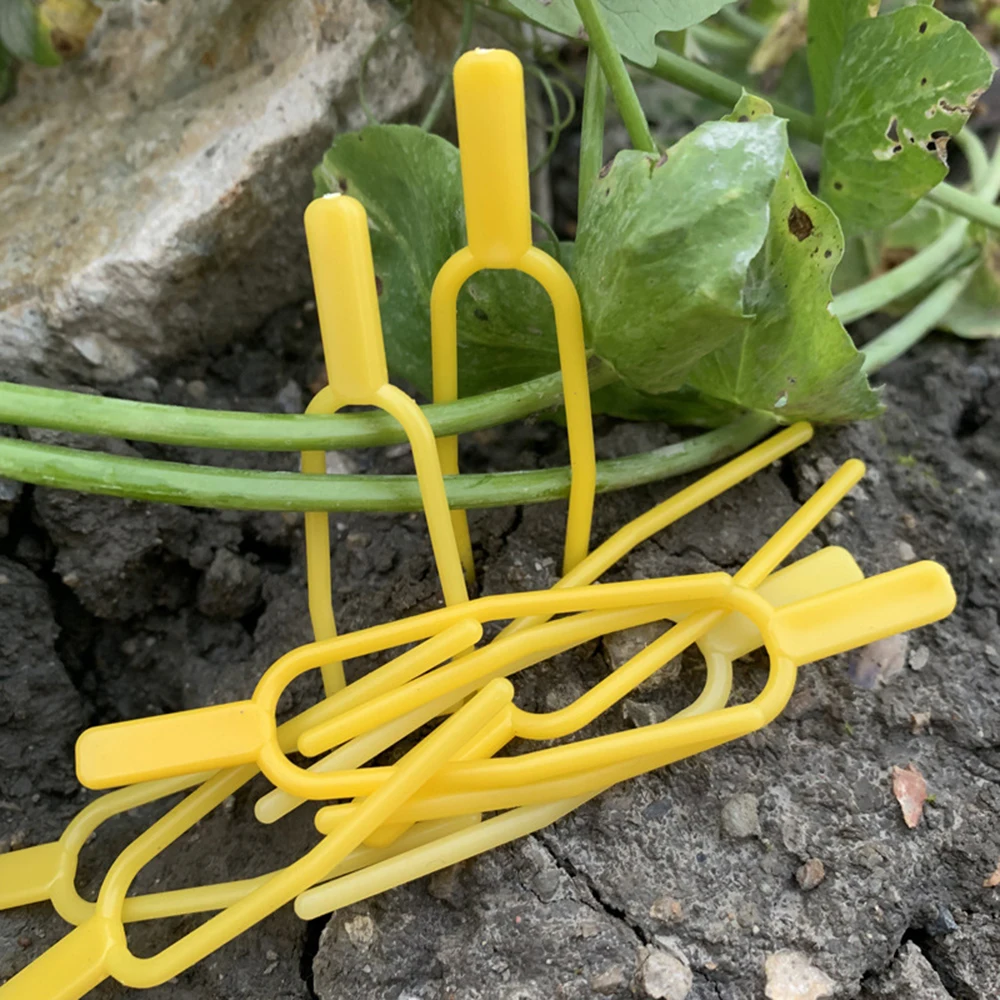 100 Uds. Tenedor para plantar fresas, equipo hortícola para el hogar, soportes para plantas y equipo de protección, soportes para jaulas para plantas - imagen 2