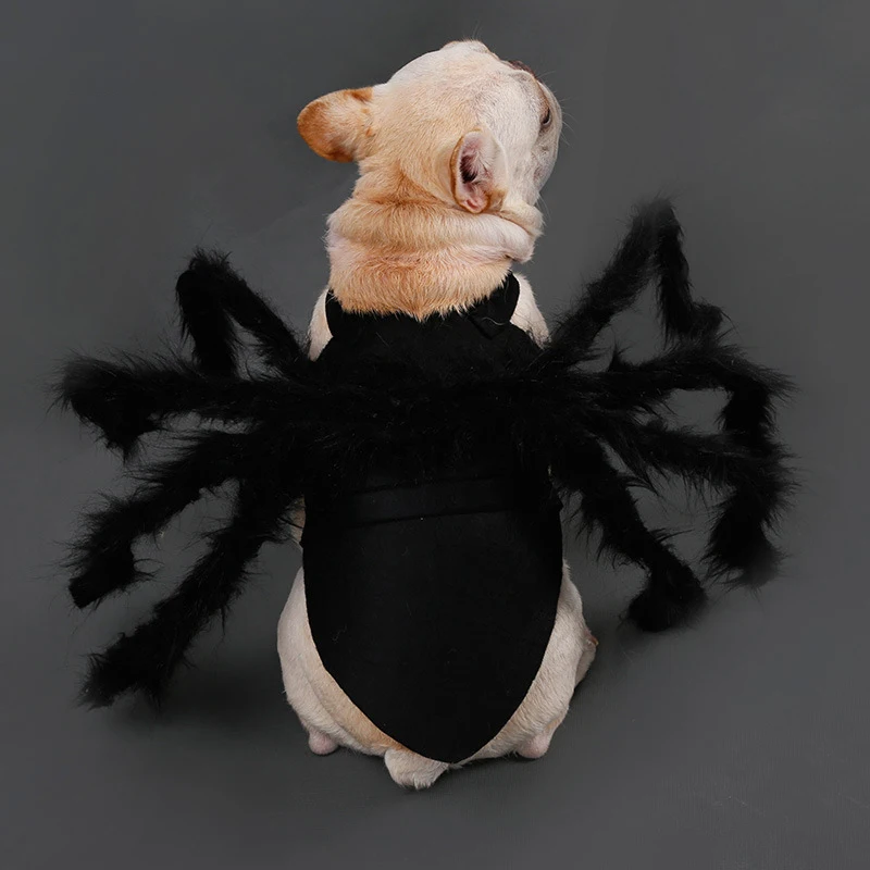 NONOR Halloween Dog Cat Clothes Pet Cosplay Funny Spider Costume Halloween Party Costumes for Small Medium Dog Cat Costumes - imagen 4