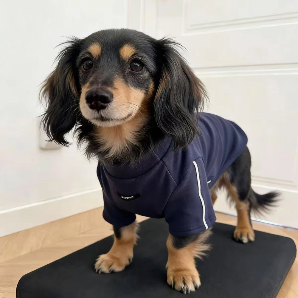 Abrigo reflectante para perros Dachshund – Primavera