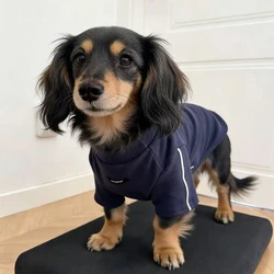 Abrigo reflectante para perros Dachshund – Primavera