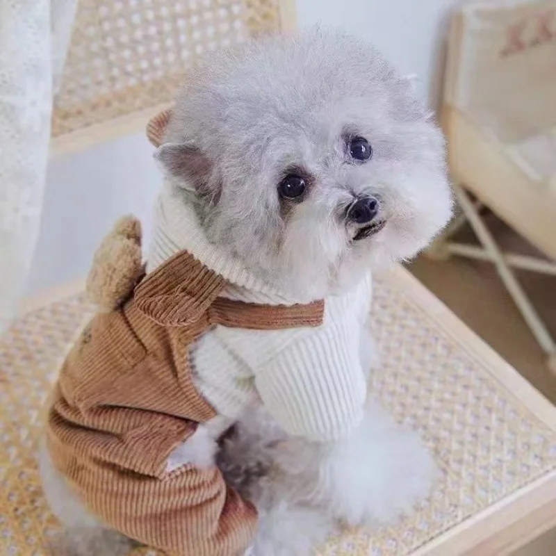 Mono de otoño e invierno para mascotas, Teddy para perros pequeños, chaqueta con tirantes de oso de peluche de pana para otoño e invierno, ropa para cachorros, pantalones de terciopelo - imagen 2