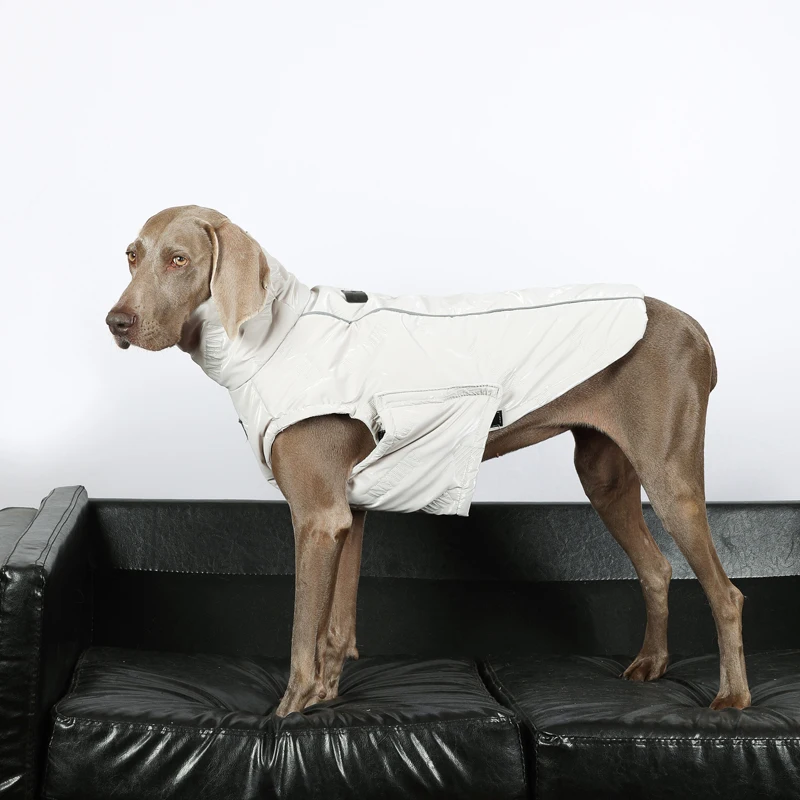 Ropa grande para perros a la moda, chaleco impermeable de invierno para perros, ropa cálida para mascotas, chaqueta para perros grandes, disfraz de Labrador Golden Retriever - imagen 3