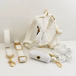 Collar y correa de terciopelo blanco con placa personalizada para perros
