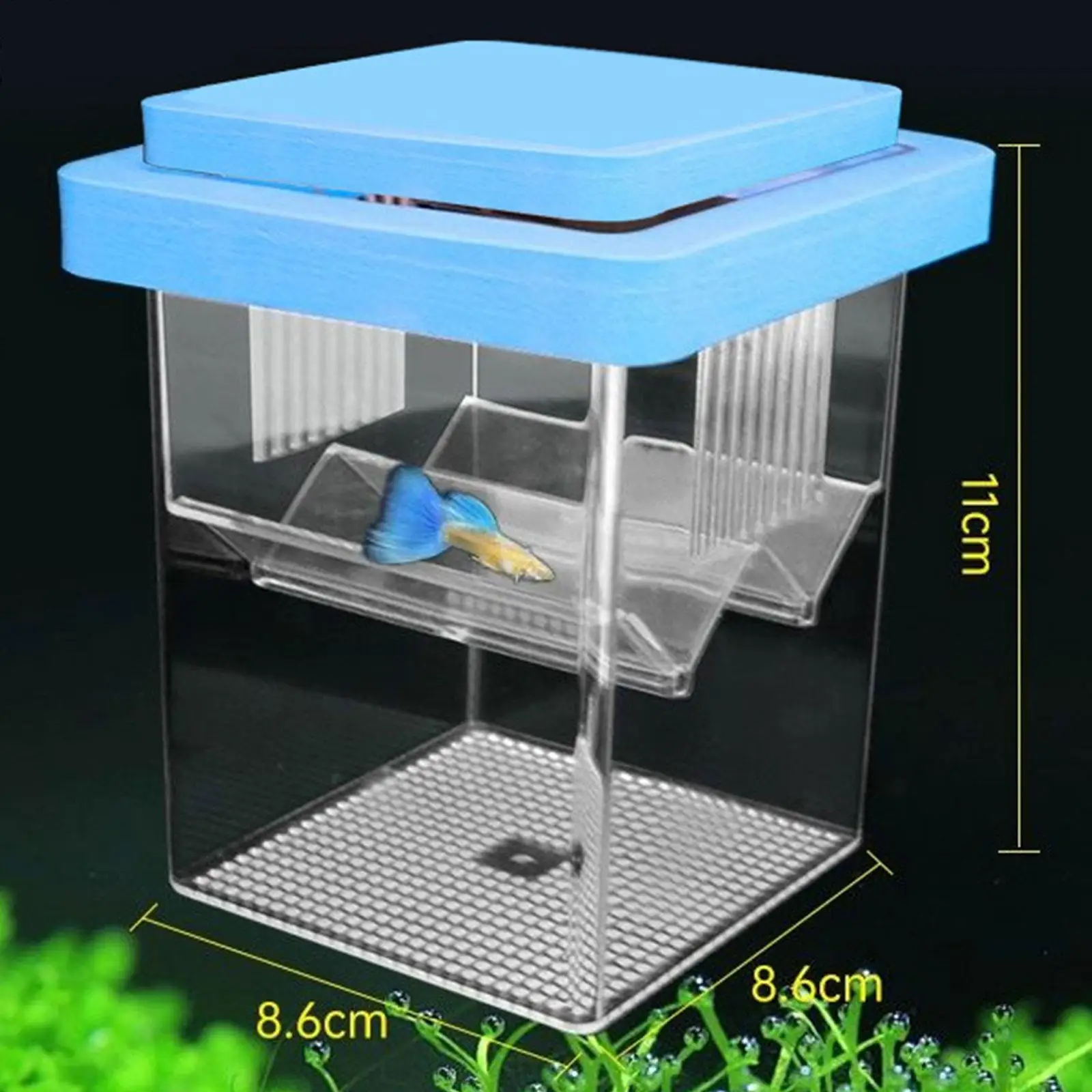Floating Incubator Fish Breeding Box Small Fish Nursery Fish Egg Isolation Hatchery Box for Shrimp Betta Guppy Fish Floating Incubator Fish Breeding Box Small Fish Nursery Fish Egg Isolation Hatchery Box for Shrimp Betta Guppy Fish