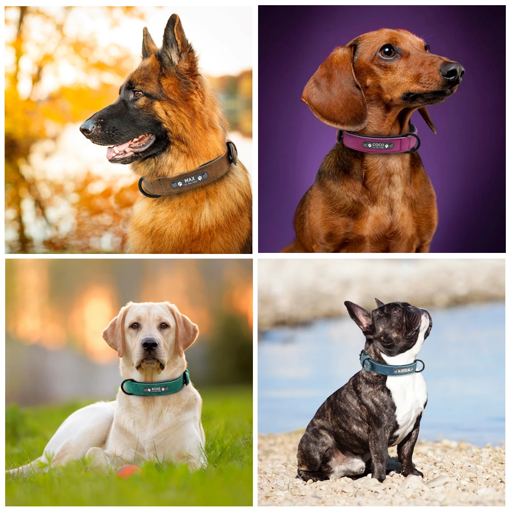 Collar de cuero personalizado para perro – Ajustable en tallas - imagen 3