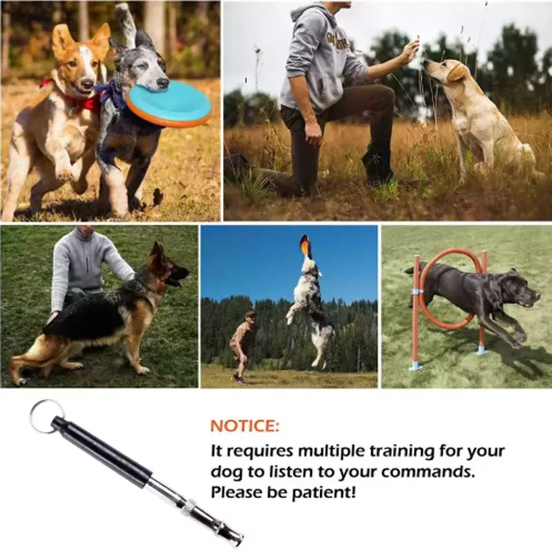 Flauta ultrasónica para entrenamiento de perros – Silbato silencioso - imagen 3