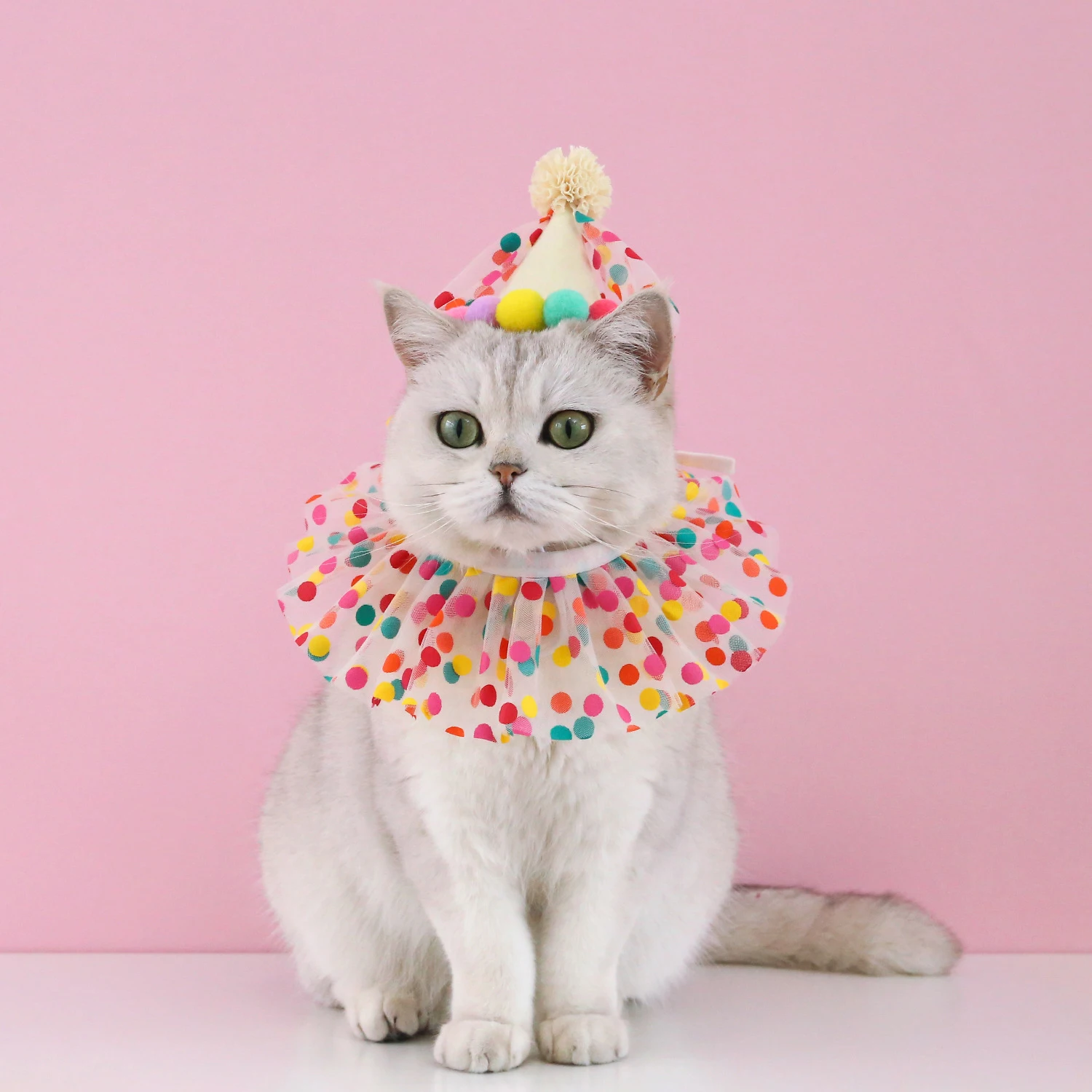 Sombrero de cumpleaños colorido para perros y gatos, bufanda ajustable para cumpleaños, conjunto de sombrero, babero para perros, vestido de fiesta de cumpleaños para mascotas, sombrero, accesorios para perros - imagen 4