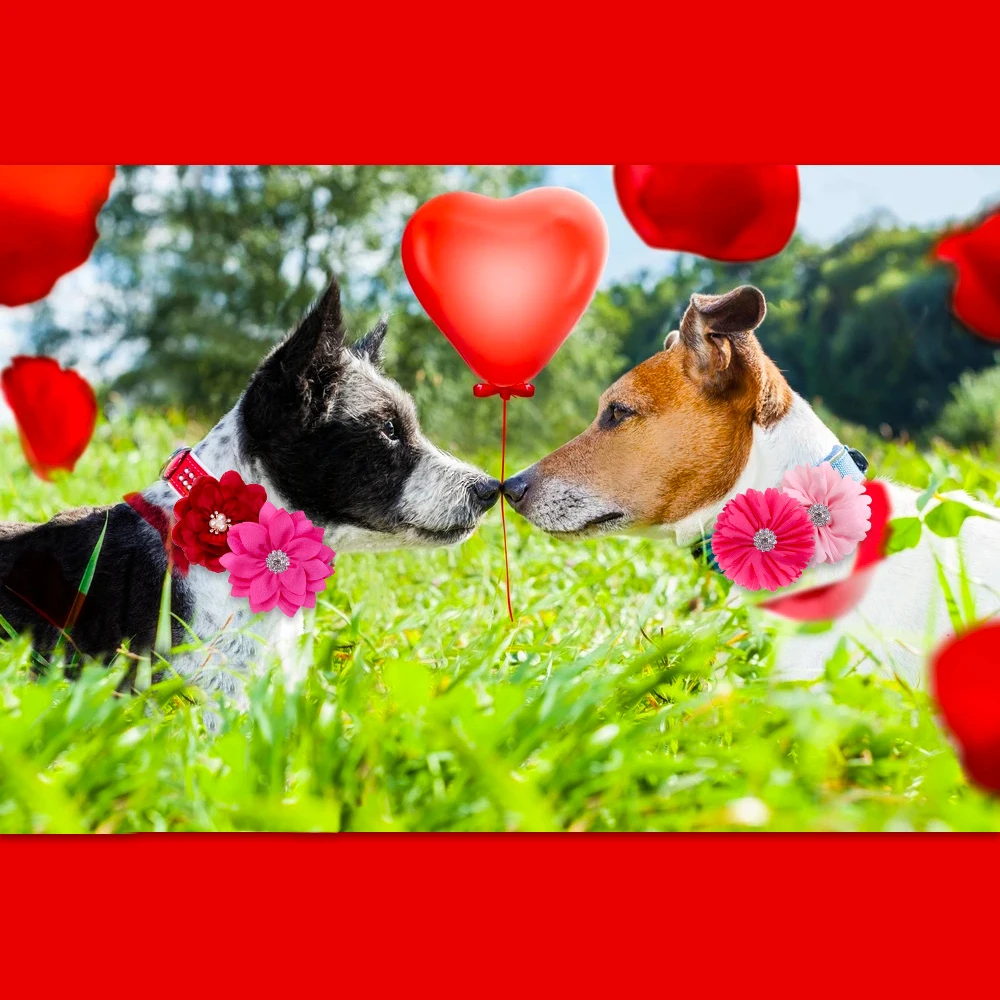 50 Uds. Pajaritas deslizantes para el Día de San Valentín, accesorios para Collar de perro, pajarita para perro pequeño, accesorios para perros pequeños de lujo - imagen 2