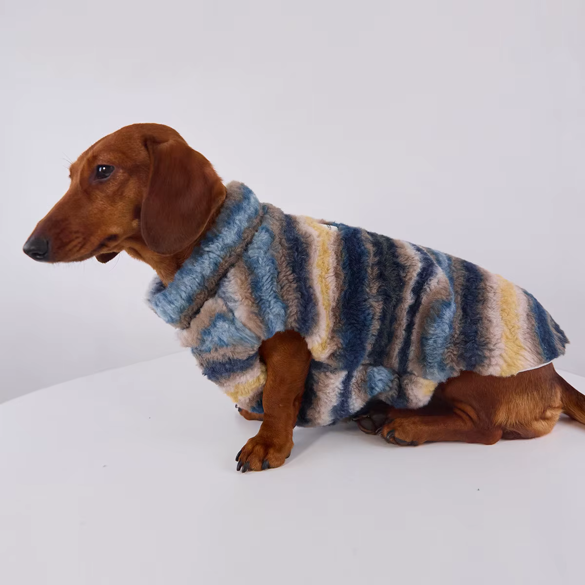 Cardigan de rayas azules para perros salchicha – Abrigo otoño invierno - imagen 2