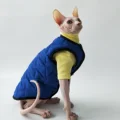 Blue-Yellow Suit