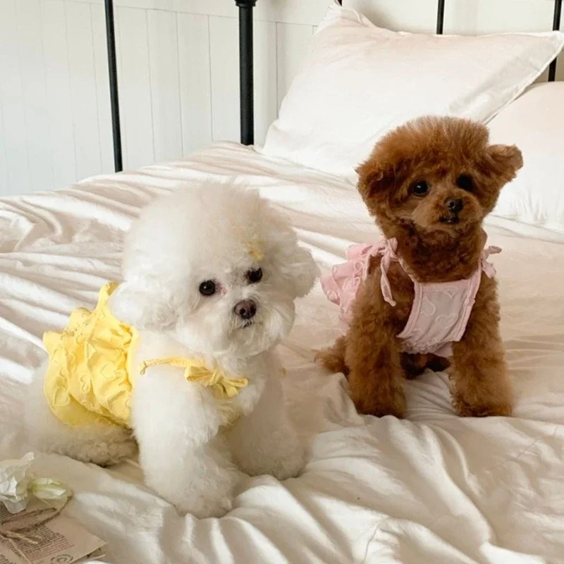 Ropa de encaje para pastel de mascotas, falda de pastel con tirantes de amor de verano, falda de Pong para perro de peluche, camiseta sin mangas corta con lazo, ropa para perros pequeños - imagen 2
