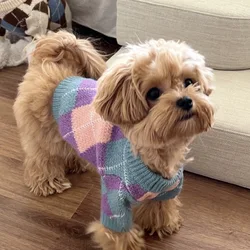 Suéter para perros Maltés a cuadros beige - Jersey cálido de punto