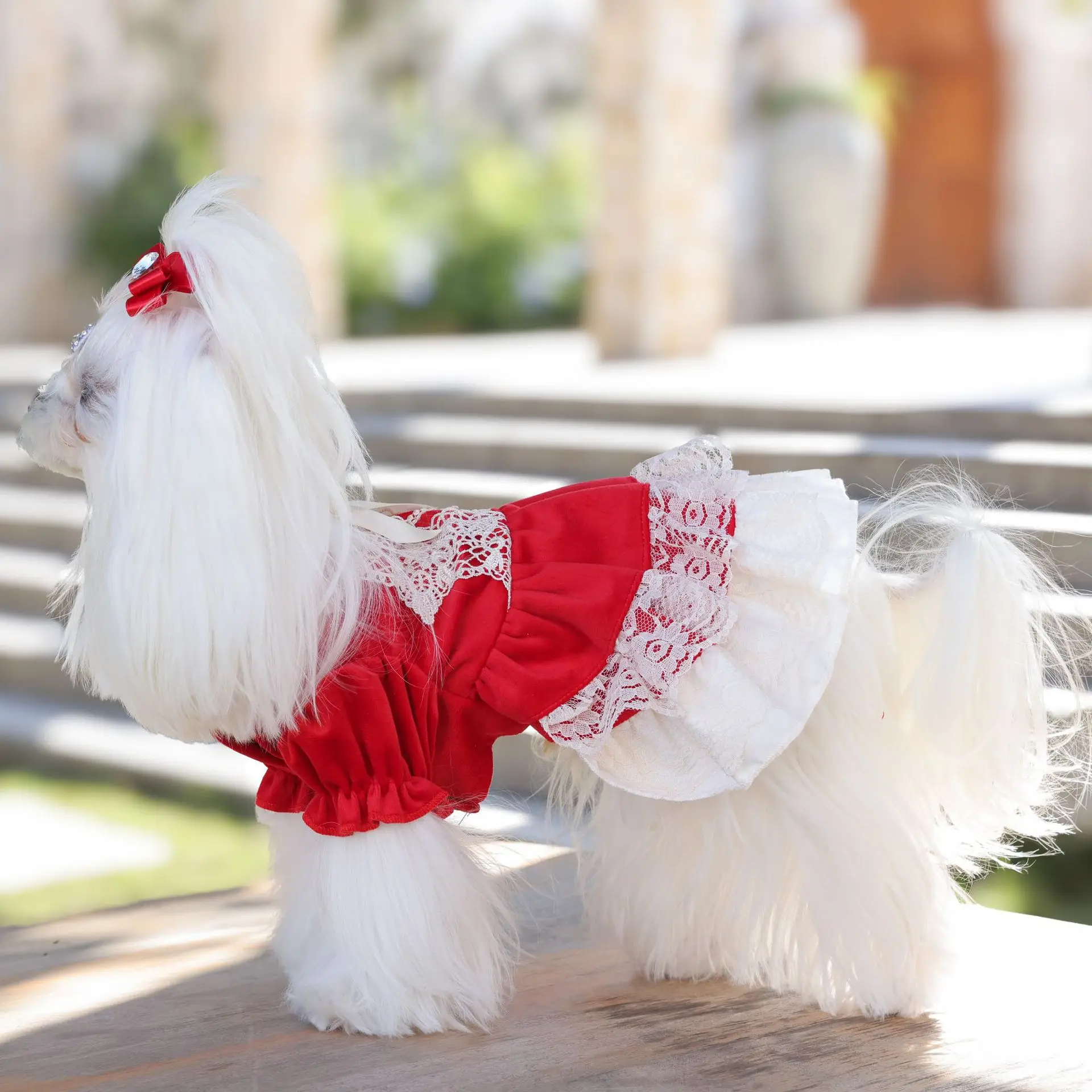 Vestidos lolita para perros pequeños, vestido de princesa de encaje para mascotas, vestido de boda, fiesta de cumpleaños para cachorros, ropa Formal, vestido de terciopelo rojo para perros - imagen 3