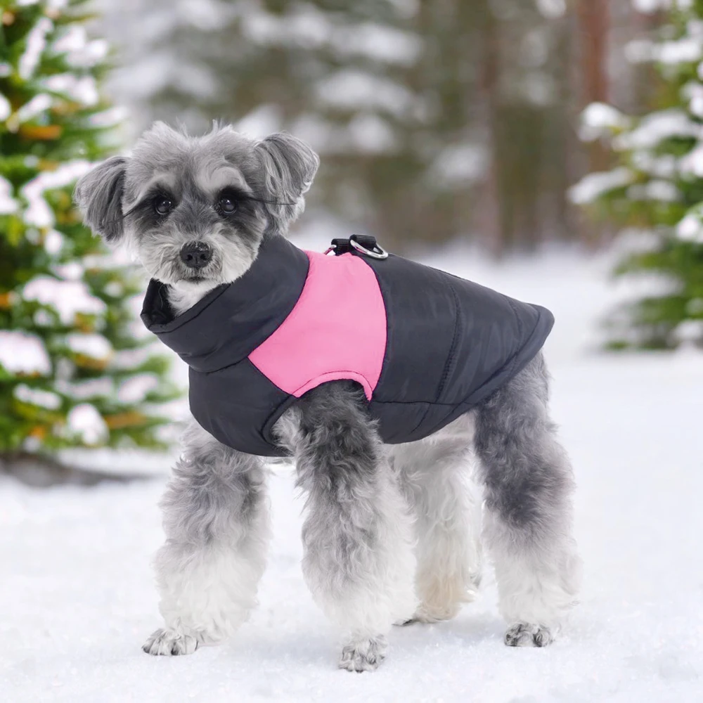 Chaqueta impermeable para mascotas, ropa cálida de invierno para perros pequeños y grandes, chaleco para gatos, abrigo para cachorros, monos de disfraces para Chihuahua Labrodor - imagen 4