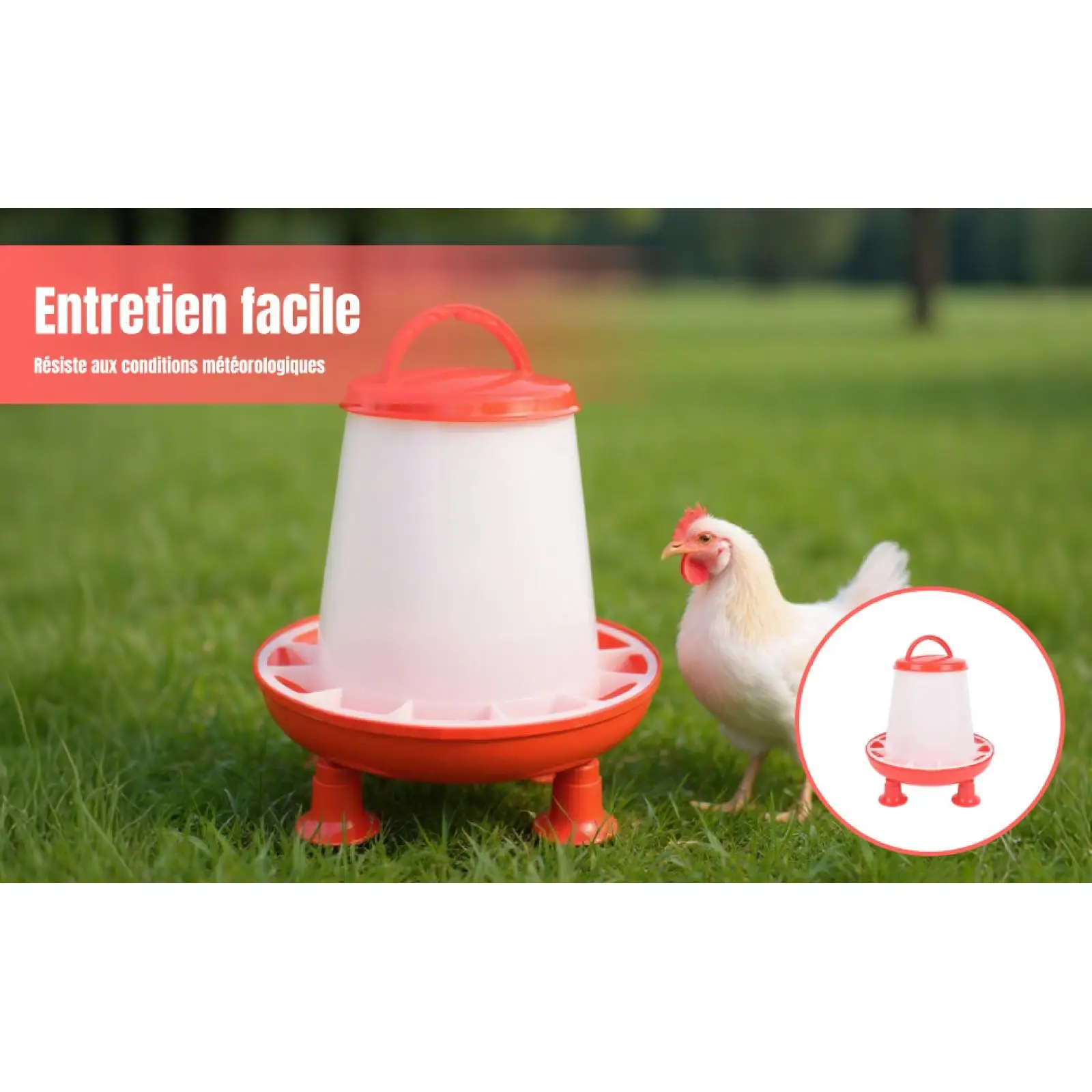 Comedero automático duradero para aves: gallinas, pollos y palomas - imagen 3