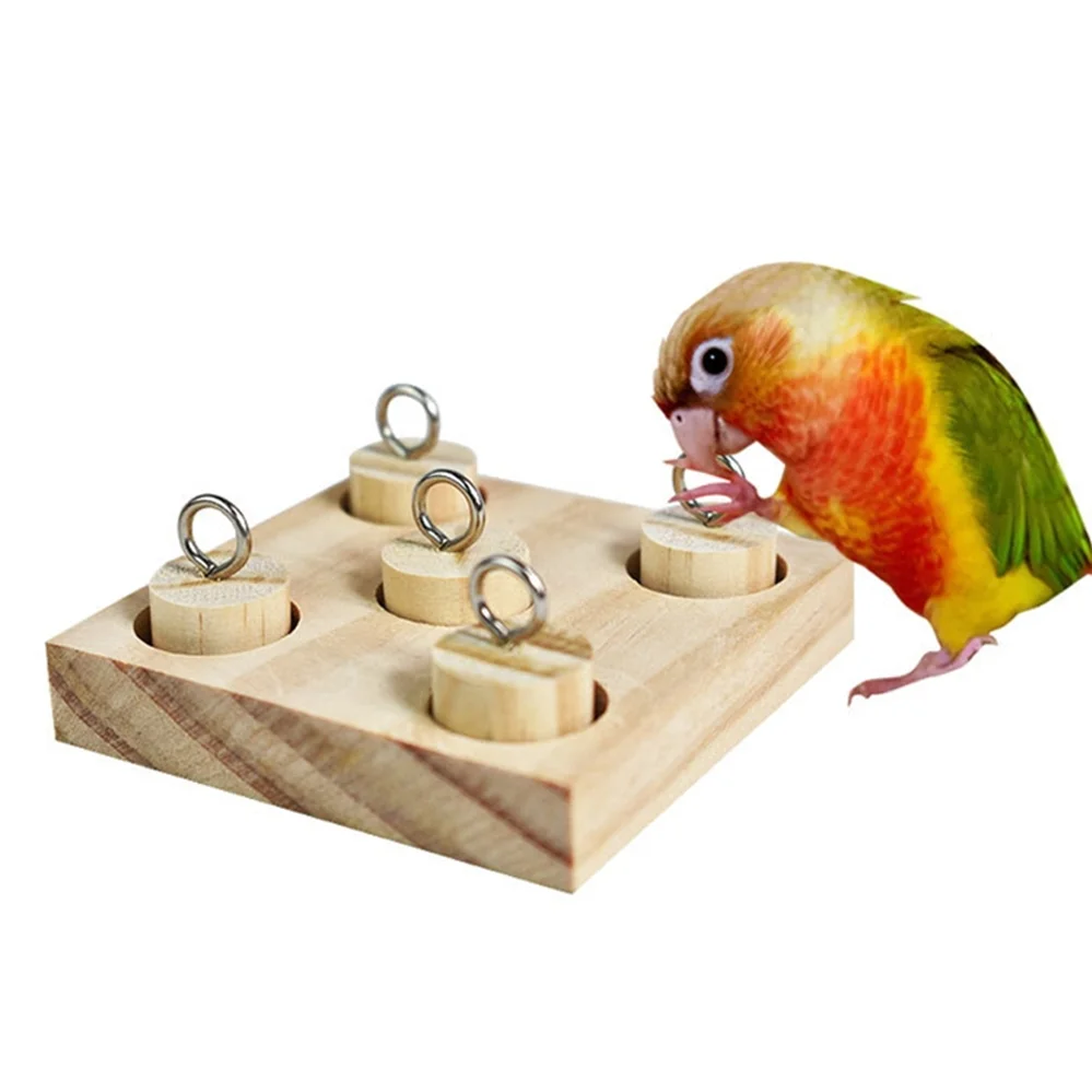 Juguetes Educativos para pájaros y loros, plataforma de madera, férula de plástico, entrenamiento intelectual, juguetes para masticar para mascotas - imagen 4