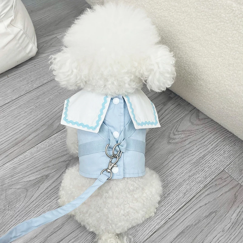 Conjunto de correa de arnés para perro y gato, Collar de encaje bonito, chaleco para mascotas, cachorro, caminar, correr, correa de plomo, ropa para Chihuahua, York, Pug - imagen 2