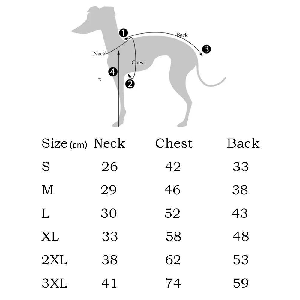 Ropa para perros ABQP - vista frontal
