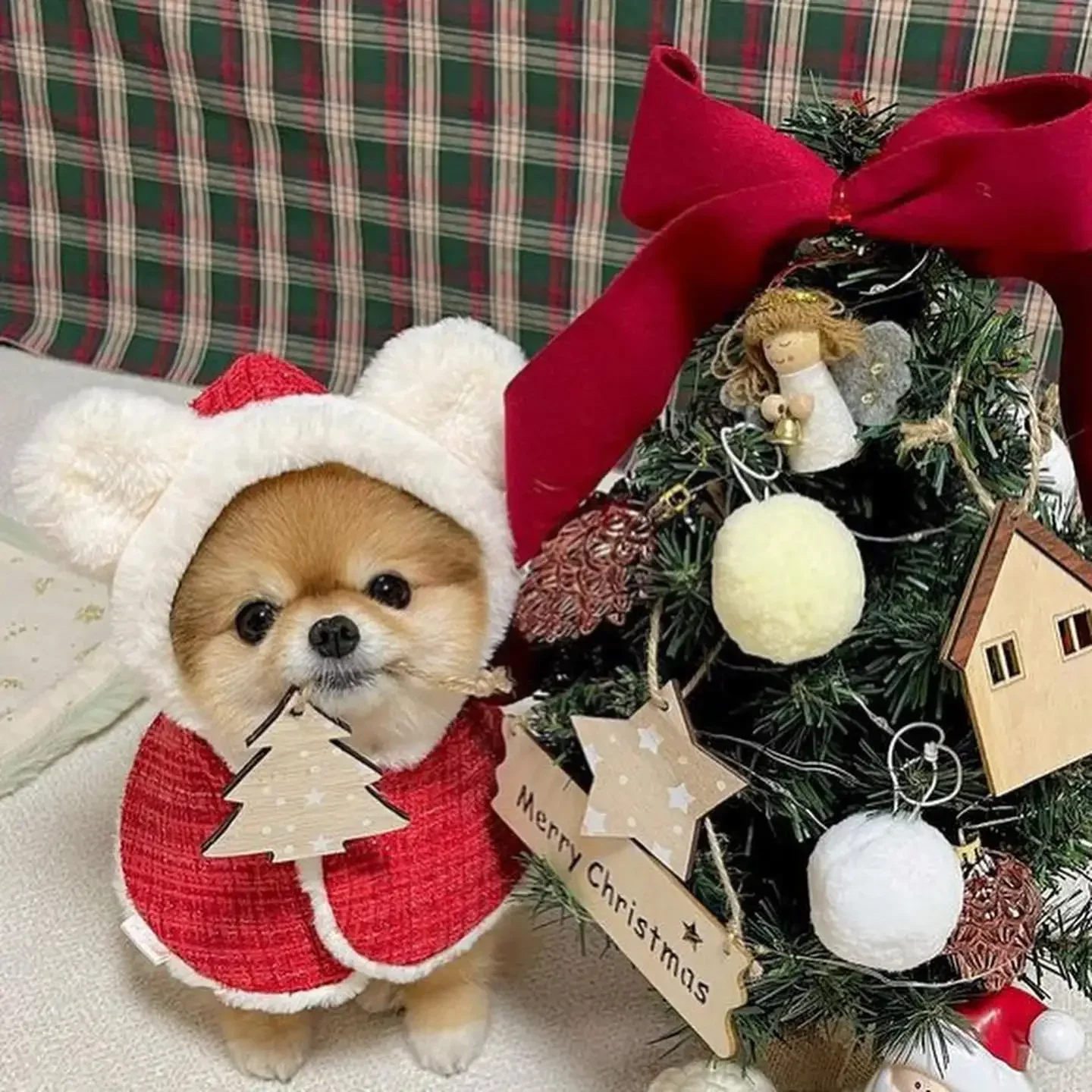 INS Navidad capa para mascotas orejas babero con capucha capa calidez maltés Año nuevo ropa de fiesta para perros abrigo para mascotas diseño de perro de moda ropa para perros - imagen 4