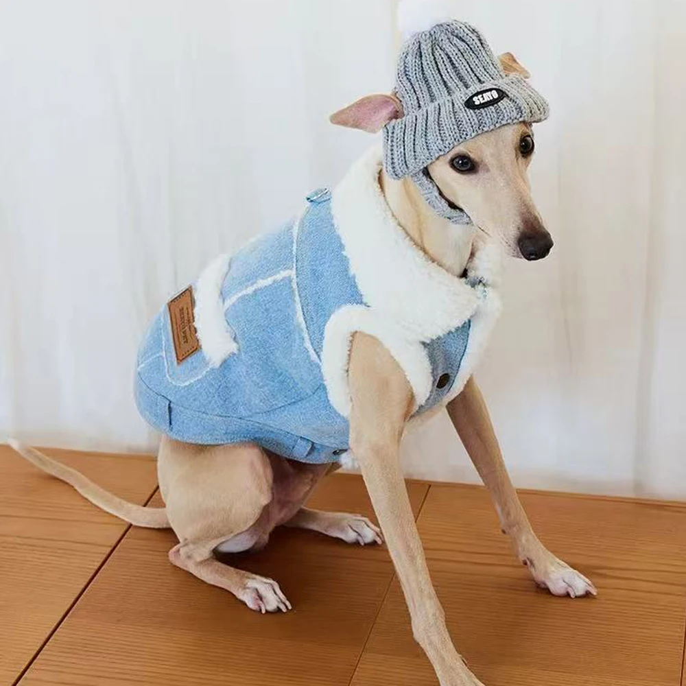 Chaqueta vaquera para Galgo italiano y Whippet – Abrigo invernal - imagen 5