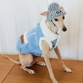 1pc Coat NO Hat